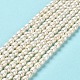 Natural Cultured Freshwater Pearl Beads Strands(PEAR-E016-170)-2