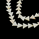 Triangle Natural Sea Shell Beads Strands(SSHEL-F290-11)-1