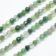Natural Moss Agate Beads Strands, Faceted, Round, Olive Drab, 2mm, Hole: 0.5, about 18~200pcs/strand, 15.4 inch(X-G-J002-03H)