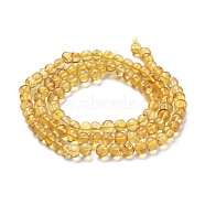 Natural Amber Beads Strands, Round, 5~5.5mm, Hole: 0.5mm, about 100pcs/Strand, 18.31 inch(46.5cm)(G-K308-C02-5mm)