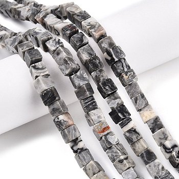 Natural Map Stone Beads Strands, Cube, 6~7x6~6.5x6~6.5mm, Hole: 1mm, about 60~61pcs/strand, 15~15.366''(38.1~39cm)