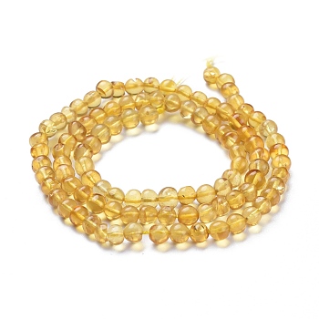 Natural Amber Beads Strands, Round, 5~5.5mm, Hole: 0.5mm, about 100pcs/Strand, 18.31 inch(46.5cm)