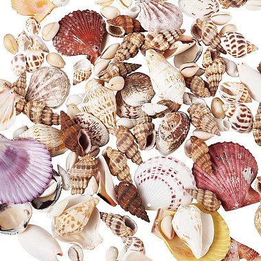 gemischte Muschelperlen(BSHE-TA0002-05)-6