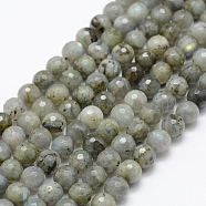 Natural Labradorite Beads Strands, Round, Faceted, 8mm, Hole: 1mm, about 49pcs/strand, 15.1 inch(38.5cm)(G-P322-28-8mm)