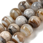 Natural Banded Agate Beads Strands, Round, Dyed & Heated, Tan, 14~14.5mm, Hole: 1.2~1.5mm, about 28~29pcs/strand, 15.75~15.94''(40~40.5cm)(G-NH0023-B01-02)