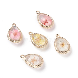 Glass Dried Flower Pendants, with Brass Findings, Teardrop, Golden, Mixed Color, 19x12x7mm, Hole: 1.4mm(RESI-F030-23)