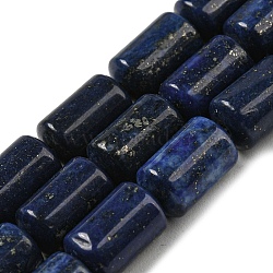 Natural Lapis Lazuli Beads Strands, Dyed, Column, 10x6mm, Hole: 0.8mm, about 40pcs/strand, 15.67''(39.8cm)(G-M420-E02-03)