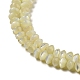 Natural Trochus Shell Rondelle Beads Strands(SSHEL-H072-01A)-3