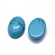 Synthetic Turquoise Cabochons(G-O175-16C)-2