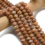 Natural Orange Sesame Jasper Beads Strands, Faceted, Rondelle, 8x5.5mm, Hole: 1.2mm, about 69pcs/strand, 15.16''(38.5cm)(G-Z111-A41)