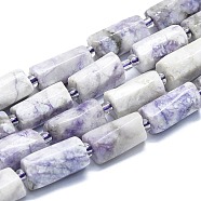Natural Purple Turquoise Beads Strands, with Seed Beads, Faceted, Column, 12~13x6~8x6~8mm, Hole: 1mm, about 28pcs/strand, 15.55''~15.75'(39.5~40cm)(G-K245-I09-A01)