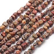 Natural Leopard Skin Jasper Beads Strands, Chip, 3~5x3~5x3~8mm, Hole: 1mm; about 85~90pcs/strand, 15.7 inches(40cm)(G-F465-31)