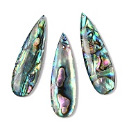 Natural Paua Shell Pendants, Teardrop Charms, 40x12x4mm, Hole: 0.8mm(SSHEL-I026-08A)