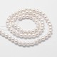 Chapelets de perles en coquille(BSHE-L025-01-4mm)-2