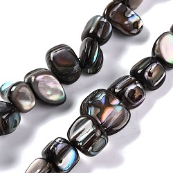 Natural Freshwater Shell Beads Strands, Silver Nitrate Dyed, Nuggets, Black, 6~8x5.5~8x5~6mm, Hole: 0.8mm, about 55~56pcs/strand, 14.25~14.37''(36.2~36.5cm)(BSHE-S304-06)