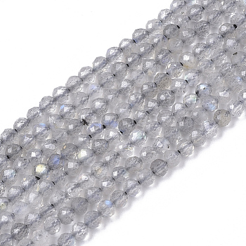Natural Labradorite Beads Strands, Faceted, Round, 2mm, Hole: 0.4mm, about 182~183pcs/strand, 15.55 inch(39.5cm)