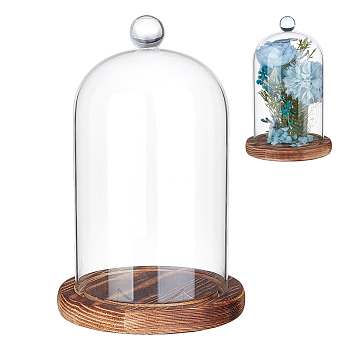 Glass Dome Cover, Decorative Display Case, Cloche Bell Jar Terrarium with Wood Base, Clear, 125x190mm