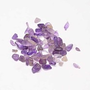 Natural Amethyst Chip Beads, No Hole/Undrilled, 3~9x1~4mm(G-L453-06)