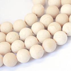 Frosted Natural Fossil Round Bead Strands, 8~8.5mm, Hole: 1mm, about 47pcs/strand, 15.5 inch(G-E334-8mm-22)