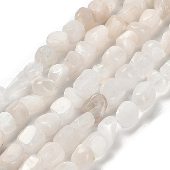 Natural Rainbow Moonstone Beads Strands, Nuggets, Tumbled Stone, 7~13x4.5~10x4.5~10mm, Hole: 1.2mm, about 44~46pcs/strand, 15.08~16.14 inch(38.3~41cm)