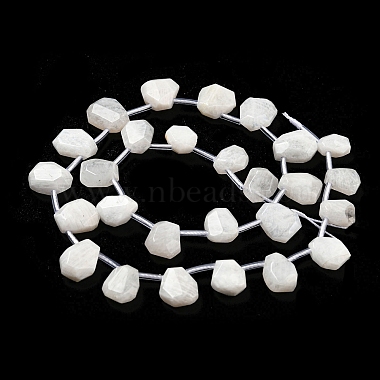 Natural Rainbow Moonstone Beads Strands(G-Z040-A06-01)-4