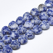 Natural Blue Spot Jasper Beads Strands, Faceted, Heart, 10x10x5mm, Hole: 1.2mm; about 20pcs/strand, 7.4 inches(G-S357-E01-06)