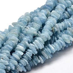 Natural Aquamarine Chip Beads Strands, 9~15x9~15mm, Hole: 1mm, about 15.3 inch~15.9 inch(X-G-E271-67)