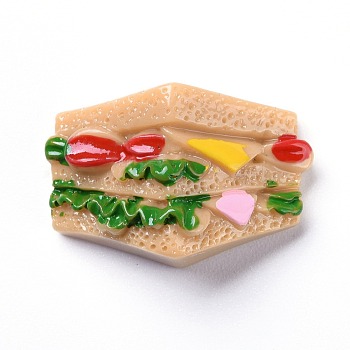 Resin Decoden Cabochons, Sandwich, Colorful, 19x28x10mm