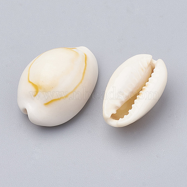 Cowrie Shell Beads(SSHEL-T004-07)-2