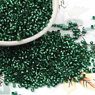 Glass Seed Beads, Silver Lined, Cylinder, Green, 2x1.5mm, Hole: 1.4mm, about 5599pcs/50g(X-SEED-S042-04B-28)