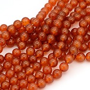 Gemstone Beads Strands, Natural Carnelian, Dyed, Round, 10mm, Hole: 1mm about 38pcs/strand, 15.5 inch(X-GSR10mmC060)