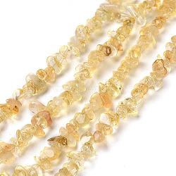 Natural Citrine Chip Beads Strands, 4~7x2~3x1~2.5mm, Hole: 0.5mm, 31.50''(80cm)(G-D093-A03)