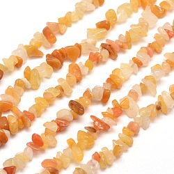 Natural Topaz Jade Chip Bead Strands, 5~8x5~8mm, Hole: 1mm, about 31.5 inch(G-M205-16)