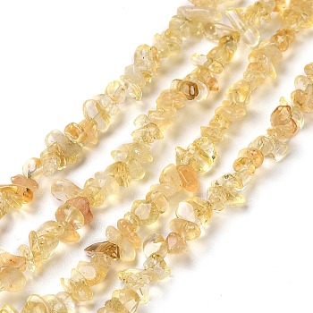 Natural Citrine Chip Beads Strands, 4~7x2~3x1~2.5mm, Hole: 0.5mm, 31.50''(80cm)