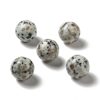 Natural Sesame Jasper/Kiwi Jasper Beads, No Hole/Undrilled, Round, 25~25.5mm