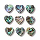 Abalone Shell/Paua Shell Beads(SHEL-T005-01)-2