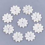 Carved Freshwater Shell Beads, Flower, Ivory, 20x19x2.5mm, Hole: 1.5mm(Y-SHEL-T012-52)