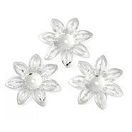 Iron Pendants, Flower, Platinum, 28x28x2.5mm, Hole: 1.8mm(IFIN-R001-15P)