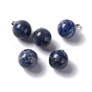 Natural Sodalite Pendants, with Platinum Tone Brass Findings, Round Charm, 22x18mm, Hole: 3x6mm(G-G926-02P-06)