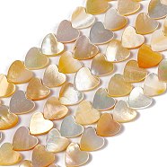 Natural Yellow Shell Beads Strands, Heart, 11~11.5x11~11.5x2mm, Hole: 0.5mm, about 38~39pcs/strand, 15.04~15.35 inch(38.2~39cm)(SHEL-F003-01B)