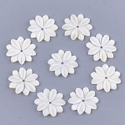 Carved Freshwater Shell Beads, Flower, Ivory, 20x19x2.5mm, Hole: 1.5mm(Y-SHEL-T012-52)