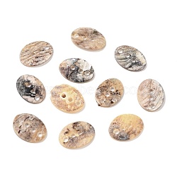 3-Hole Akoya Shell Buttons,  Oval, Mixed Color, 14.5~15x11~11.5x1.5~2mm, Hole: 1.6mm(BUTT-D056-01)