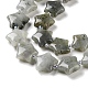 Natural Labradorite Beads Strands(G-NH0005-020)-4