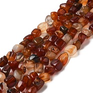 Natural Agate Beads Strands, Nuggets, Tumbled Stone, Dyed & Heated, Chocolate, 5~11x5~12x5~11mm, Hole: 1~1.4mm, about 39~50pcs/strand, 14.17~14.96 inch(36~38cm)(G-F745-10)