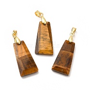 Natural Tiger Eye Pendants, Faceted Trapezoid Charms, with Rack Plating Golden Tone Brass Findings, Cadmium Free & Lead Free, 25~26x12.5~13x3.5~4mm, Hole: 5x4mm(G-C045-01C-G)