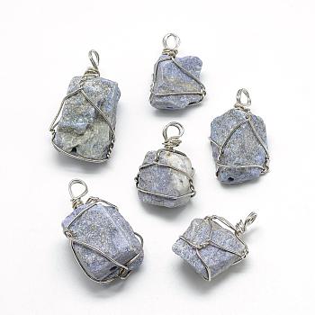 Natural Lapis Lazuli Pendants, with Brass Wires, Platinum, 30~45x20~30x15~30mm, Hole: 5mm