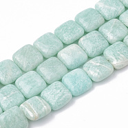 Natural Amazonite Beads Strands, Square, 12~12.5x12~12.5x4~6mm, Hole: 1mm, about 33pcs/strand, 15.9 inch(G-S299-94)