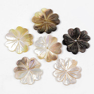 Natural Black Lip Shell Beads, Flower, 22x1~1.5mm, Hole: 1.5mm(SHEL-R049-011)