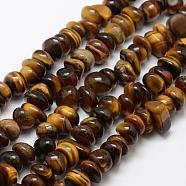 Natural Tiger Eye Beads Strands, Nuggets, 10~20x5~10mm, Hole: 1mm, 15.3 inch(39cm)(G-F521-15)