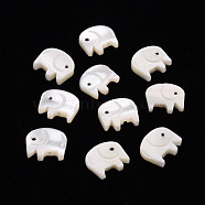 Natural Trochid Shell/Trochus Shell Beads, Elephant, Seashell Color, 9.5x11x2~3mm, Hole: 0.8mm(SSHEL-T014-31)